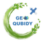 Geoqubidy icon