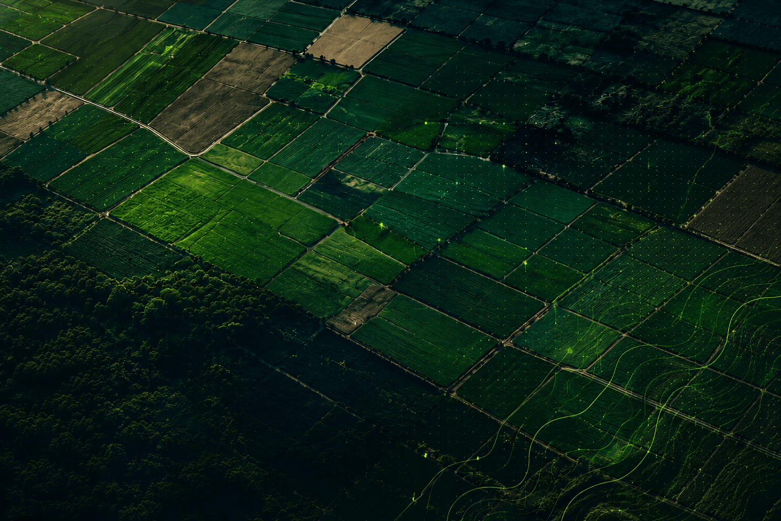GeoQubidy Background
